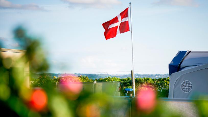 Camping i Kolding