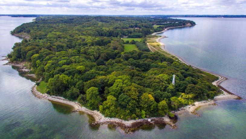 Treldeskoven i Fredericia - Destination Trekantomraadet