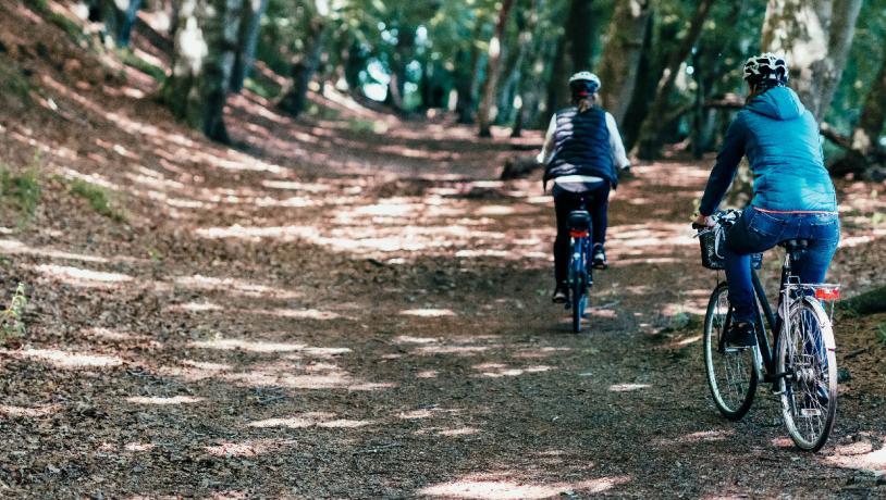 Cykel-i-skoven-NaturparkLillebælt-Kolding