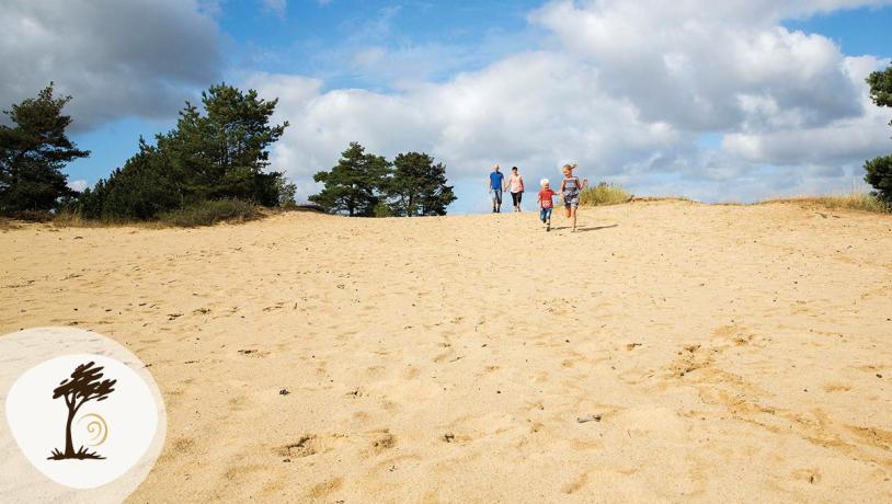 Familie går op ad de sandede bakker i Grene Sande omgivet af fyrretræer og blå himmel. Området er en del af Small Wonders-ruten.