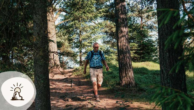 En vandrer går ned ad en sti i Frederikshåb Plantage, omgivet af høje træer og blødt sollys. Plantagen er et stop på Kunstruten i Small Wonders – Heart of Jutland.