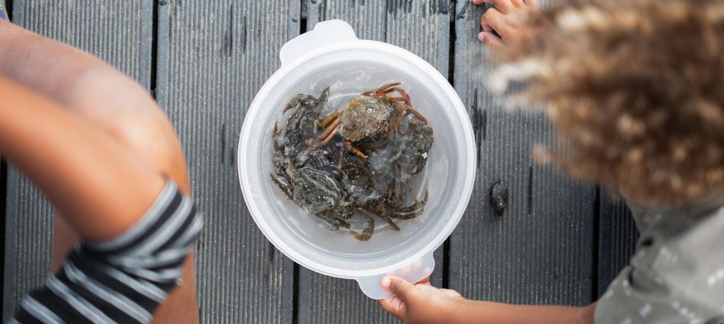 Fang krabber i parken eller lav et bål. I guiden får I ideer til 10 sjove aktiviteter i Naturpark Lillebælt. Kom og hold en aktiv familieferie i LEGOLAND® Billund Resort. Her venter der mange naturoplevelser.