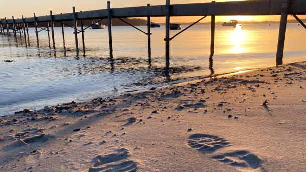 Solnedgang ved Gl. Aalbo camping