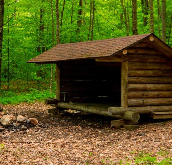 Shelter i skoven ved Kolding