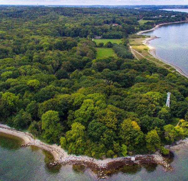 Fredericia Treldenaes 