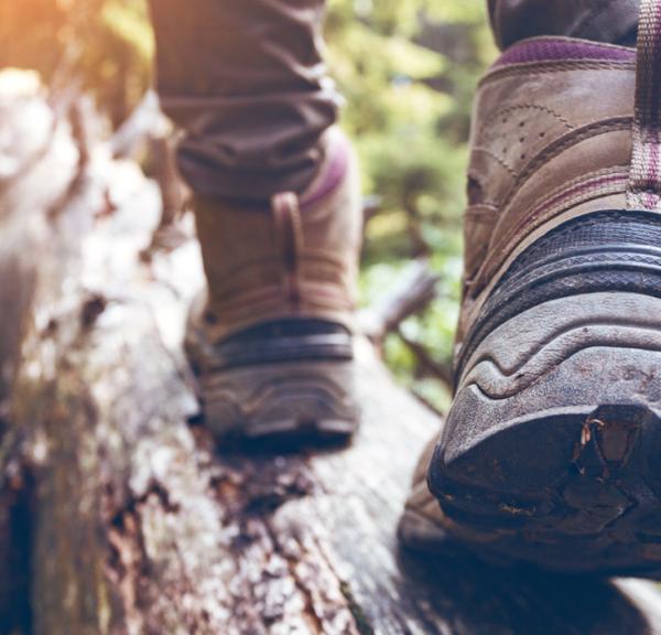 Vejle vandring på Rans Togt
