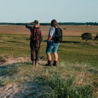 Vandre-i-plantagen-Billund-DestinationTrekantomraadet