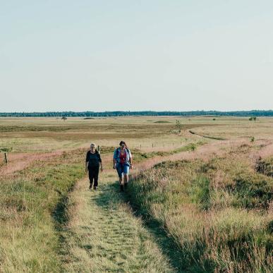 To vandrere på sti gennem det åbne hedelandskab, en del af Small Wonders-ruten.