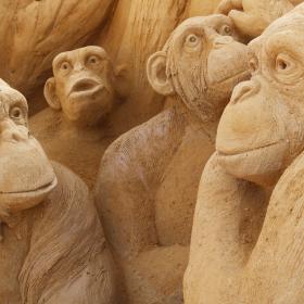 Chimpanser i Sandskulpturparken ved Lalandia