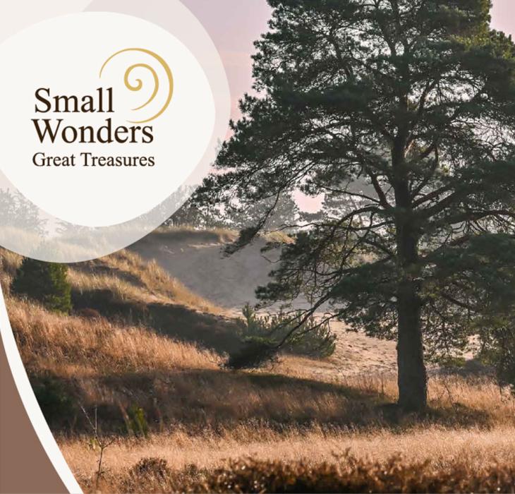 Landskab med klitter, højt græs og fyrretræer badet i blødt aften- eller morgenlys. Til venstre ses en cirkulær grafik med teksten “Small Wonders – Great Treasures”.